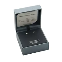 Lab Created 1/4 CT TW Lab Grown Diamond Stud Earrings in Platinum Over Sterling Silver