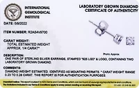 Lab Created 1/4 CT TW Lab Grown Diamond Stud Earrings in Platinum Over Sterling Silver