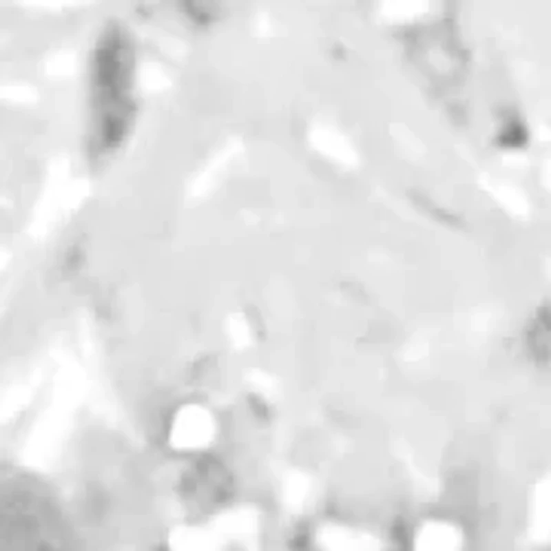 Lab Created 1 Ctw Pear Grown Diamond Bezel Set Stud Earrings Gold Plated Sterling Silver