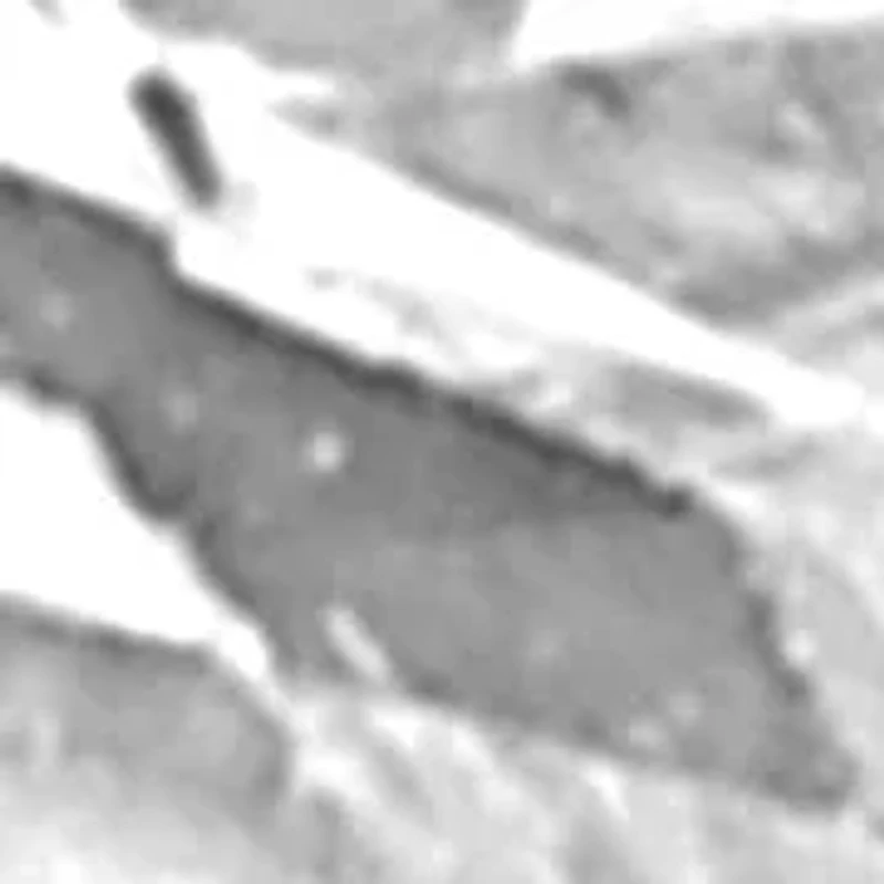 Lab Created 1 Ct Princess Grown Diamond Bezel Set Solitaire Pendant Sterling Silver