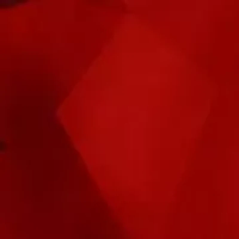 14K Gold 9x7mm Oval Garnet Pendant Necklace