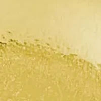 10K Yellow Gold Dolphin Pendant Necklace