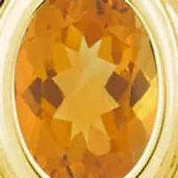 Sterling Silver/14K Yellow Gold Plated 6x4mm Oval Citrine Locket Pendant Necklace