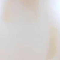 Lab Created Sterling Silver Freshwater Pearl Earring