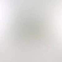 Lab Created Sterling Silver Freshwater Pearl Earring