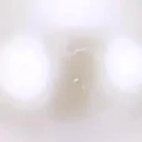 Sterling Silver Freshwater Pearl Set