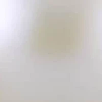 Sterling Silver Freshwater Pearl Necklace