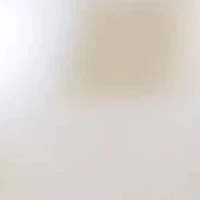 14KT Yellow Gold Freshwater Pearl Earring