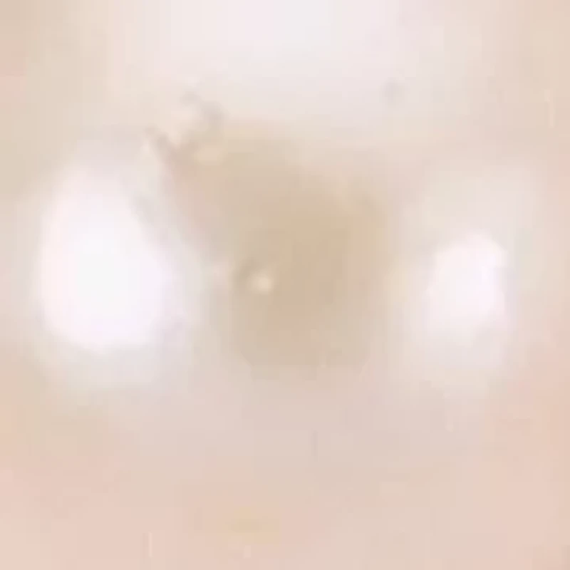 14KT Yellow Gold Freshwater Pearl Bracelet