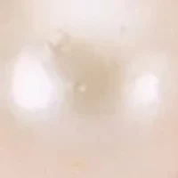 14KT Yellow Gold Freshwater Pearl Bracelet