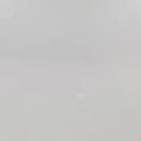 10KT Yellow Gold Freshwater Pearl Necklace