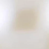 14KT Yellow Gold Freshwater Pearl Necklace