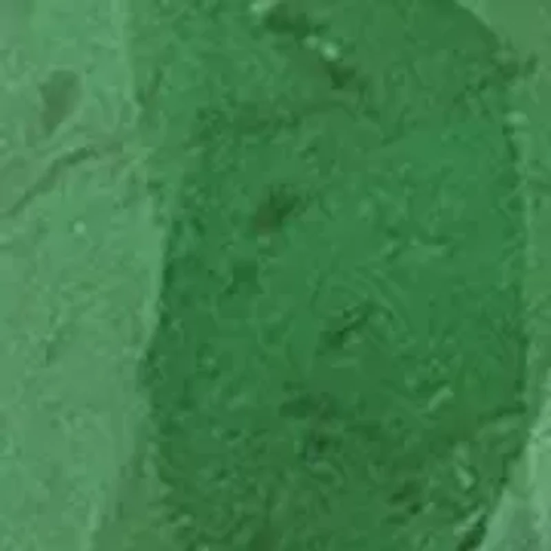 10K Gold Ruby and 1/8 ct. t.w. Diamond Stud Earrings