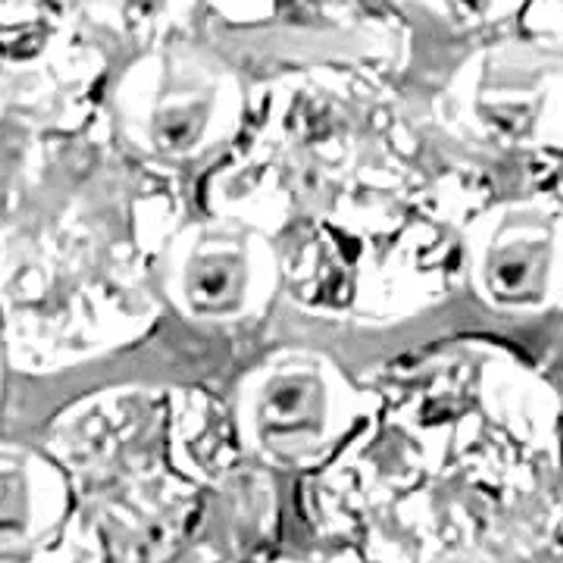 Diamond Ring in Sterling Silver