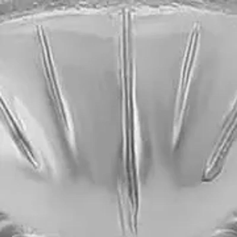 1/3CTW DIA CANCER PENDANT IN STERLING SILVER