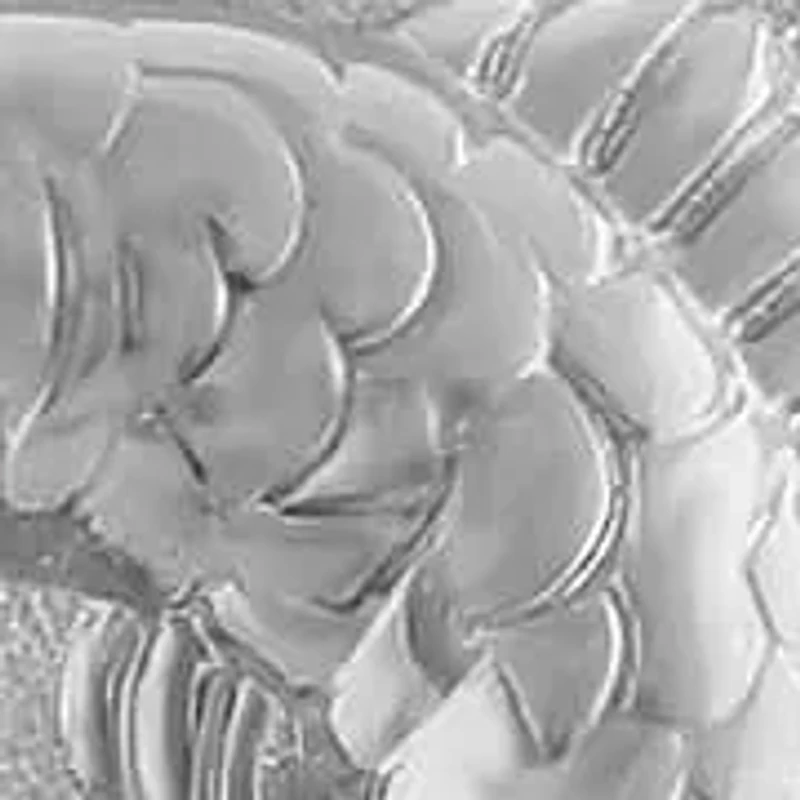 1/3CTW DIA PISCES PENDANT IN STERLING SILVER