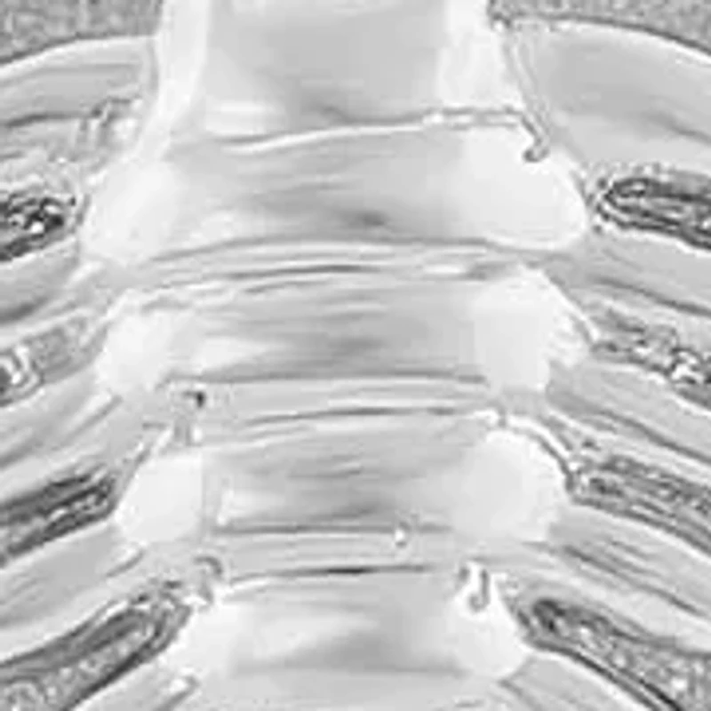 1/3CTW DIA SCORPIO PENDANT IN STERLING SILVER