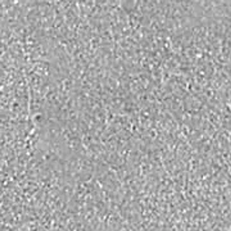 1/3CTW DIA VIRGO PENDANT IN STERLING SILVER