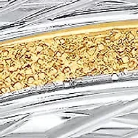 Men's two tone stainless steel and 18k gold plated sand dusted/hammered band ring