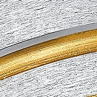 Men's two tone stainless steel and 18k gold plated mate textured band ring