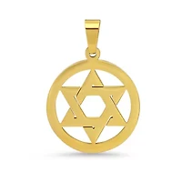 Men's 18k gold plated stainless steel star of David pendant