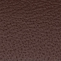 Contender Brown Strap Blue Dial Watch