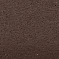 Peak Brown Strap Gray Dial Watch