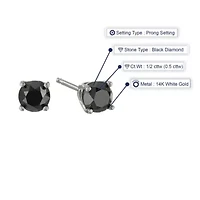 1 ct. t.w. Black Diamond Stud Earrings 14K White Gold