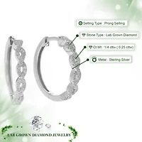 Lab Created 1/4 ct. t.w. Lab Grown Diamond Hoop Earrings in 925 Sterling Silver