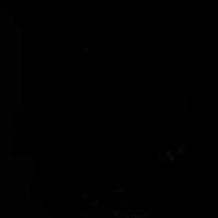 14K White Gold 3/8ct Diamond with Black Onyx Stud Earrings