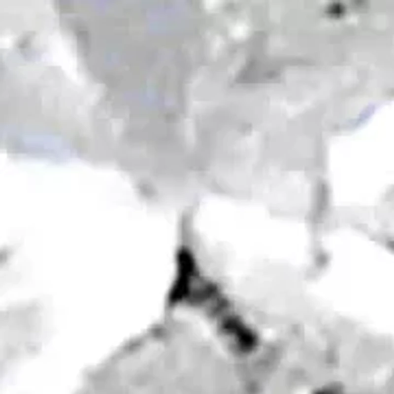 14K Yellow Gold 1/2 Cttw Diamond Solitaire Stud Earrings