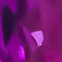 14K Rose Gold Garnet and 3/8 Cttw Diamond Halo Stud Earrings