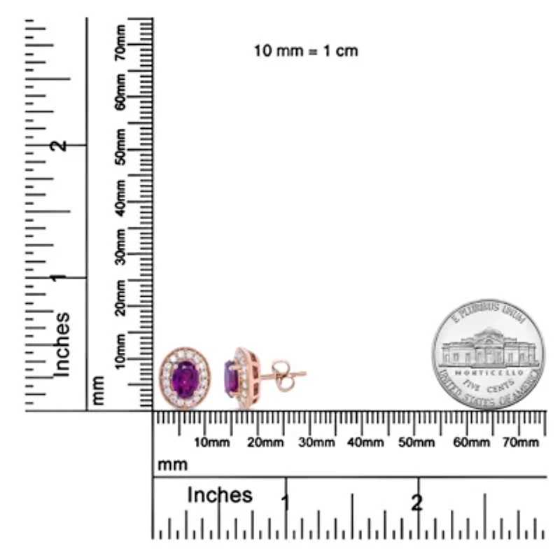 14K Rose Gold Garnet and 3/8 Cttw Diamond Halo Stud Earrings