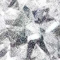 14K White 1/2 Cttw Round Diamond Halo Dangle Hook Earring -