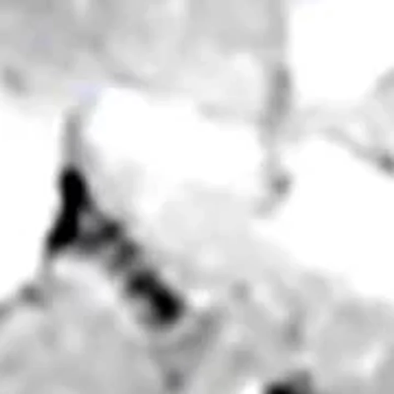 AGS Certified 14k Yellow Gold 3/8 cttw Diamond Stud Earrings