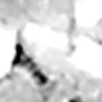 AGS Certified 14k Yellow Gold 3/8 cttw Diamond Stud Earrings