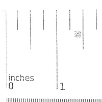 AGS 14K White Gold 1.0 Cttw Diamond Push Back Stud Earrings