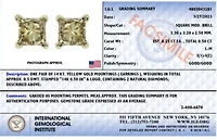 IGI Certified 14k Yellow Gold 1/2 Ct Princess Solitaire Diamond Stud Earrings
