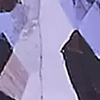 14K Yellow Gold 1/4 Cttw Diamond andTanzanite Halo Stud Earrings