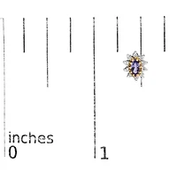 14K Yellow Gold 1/4 Cttw Diamond andTanzanite Halo Stud Earrings