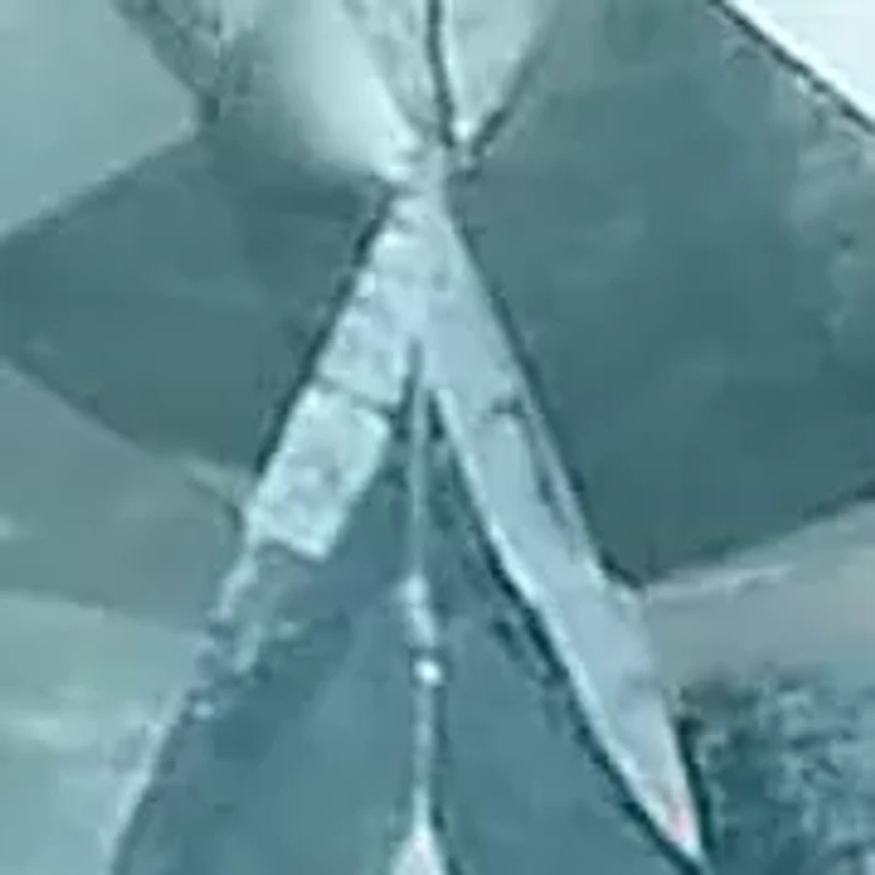 Silver Diamond Accent and Topaz with Beaded Halo Drop Stud Earrings