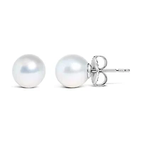 14K Gold 6-6.5MM Cultured Freshwater Pearl Solitaire Stud Earrings