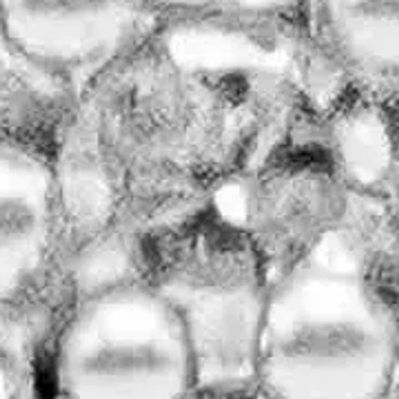 10K Gold 1/2 Cttw Diamond Cluster with Halo Cocktail Ring