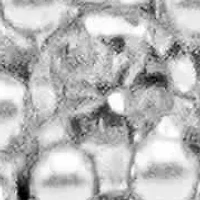 10K Gold 1/2 Cttw Diamond Cluster with Halo Cocktail Ring