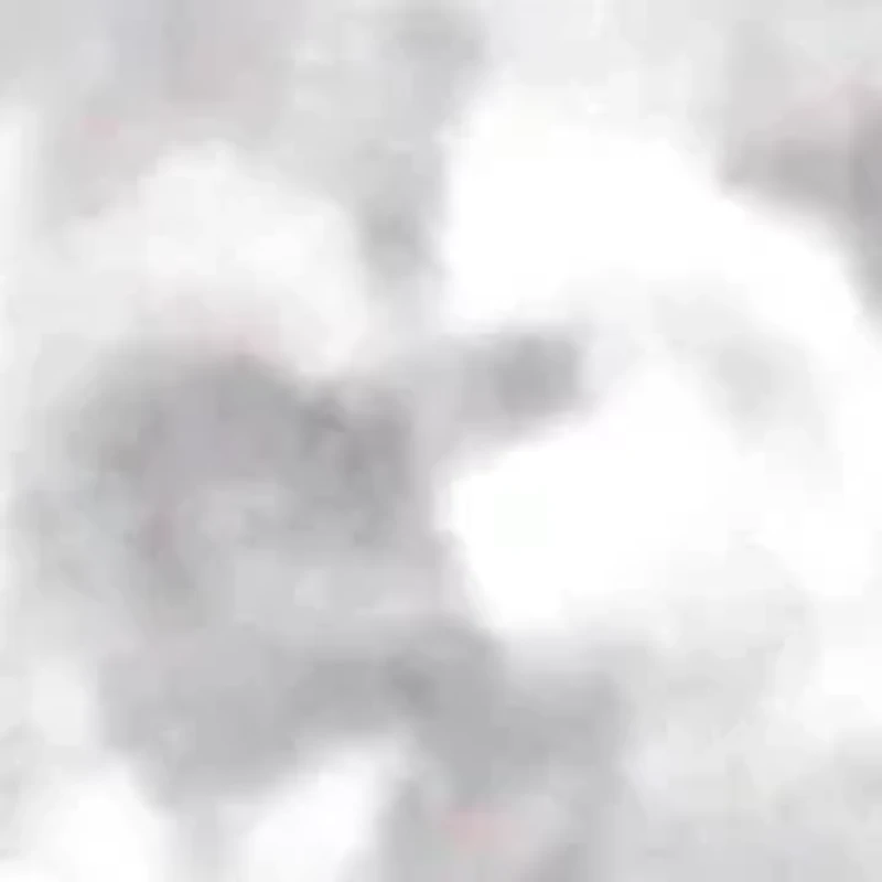 Silver 1/2 cttw Diamond 11 Stone Band Ring