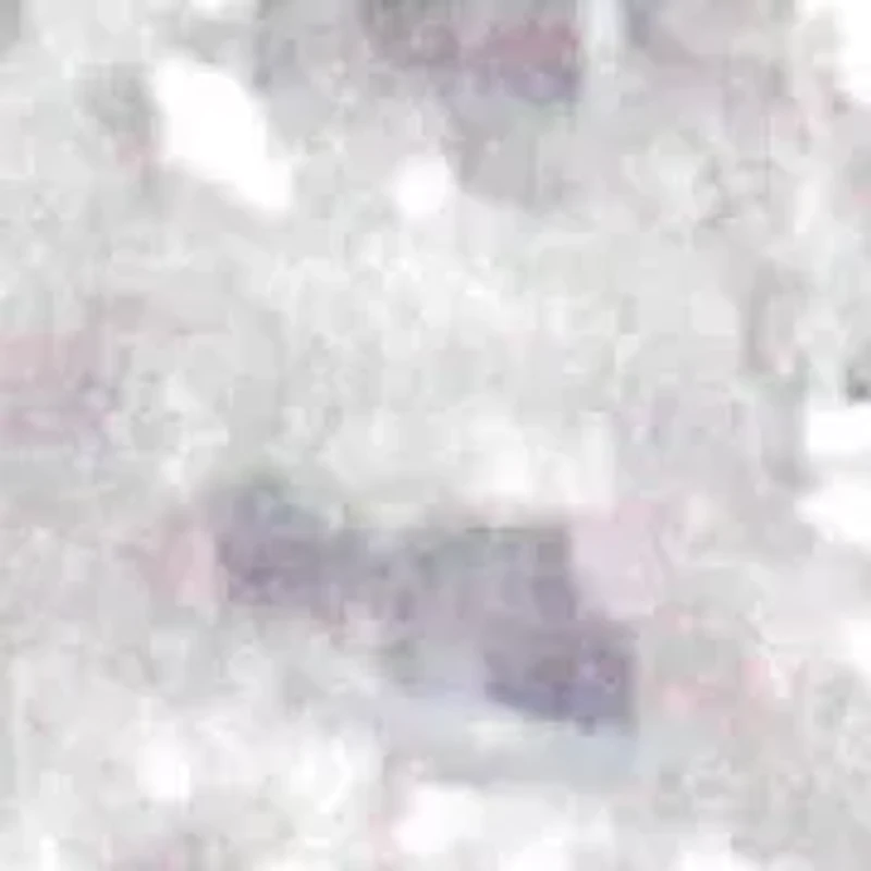 10K White Gold 1/2 cttw Diamond Cluster Ring