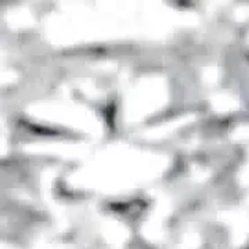 Silver 2.0 Cttw Diamond Edge Multi-Row Ring Band