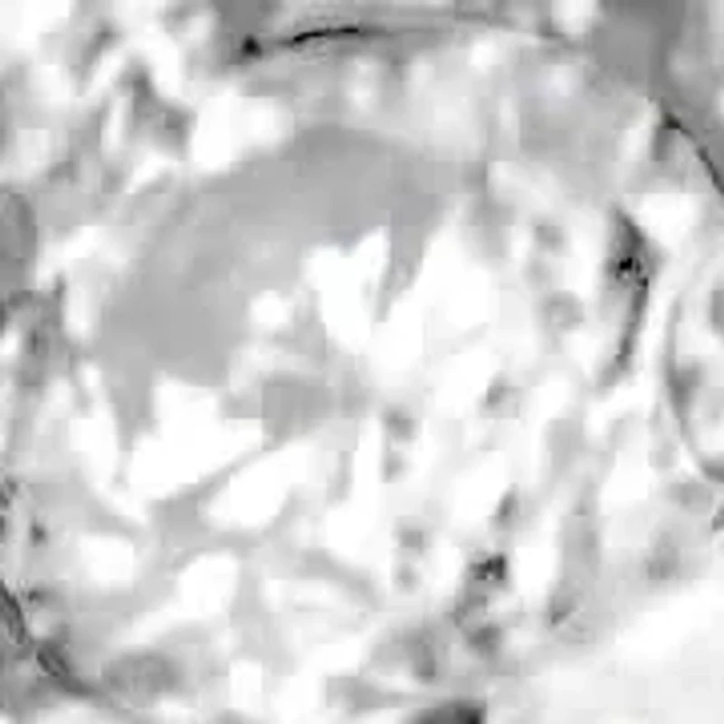 Silver 1/2 Cttw Diamond Cluster Split Shank Cocktail Ring