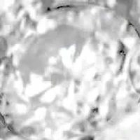 Silver 1/2 Cttw Diamond Cluster Split Shank Cocktail Ring