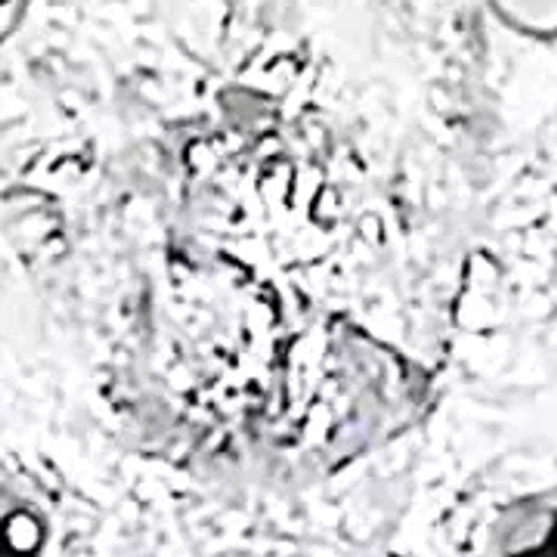 14K White Gold 1/5 Cttw Diamond With Halo Engagement Ring